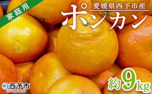 ＜愛媛県西予市産 ポンカン 約9kg 家庭用＞ 訳あり ワケアリ 果物 くだもの ミカン 蜜柑 柑橘 ぽんかん おいしい フルーツ サイズ不揃い ご自宅用 果実 果肉 ジューシー 特産品 段畑みかん 愛媛県 西予市【常温】『2026年1月中旬～2月上旬迄に順次出荷予定』