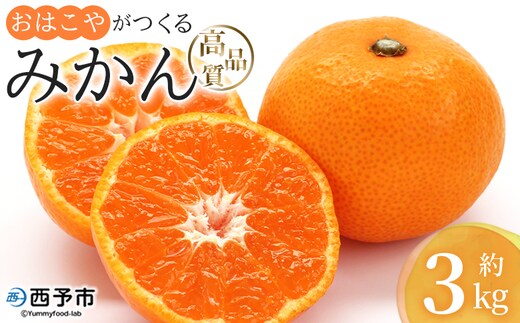 ＜おはこやがつくる 高品質みかん 約3kg（S～Lサイズ）＞ 果物 フルーツ 柑橘 ミカン 蜜柑 特産品 西宇和 愛媛県 西予市 【常温】