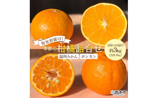 ＜旬をお届け！季節の柑橘 2回定期便（温州みかん約3kg・ポンカン約3kg）＞ミカン ぽんかん 蜜柑 果物 果実 フルーツ お楽しみ 2種類 食べ比べ 手軽 特産品 国産 愛媛県 西予市【常温】