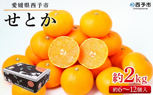 ＜せとか 約2kg（約6～12個入）＞ 果物 フルーツ くだもの みかん ミカン 蜜柑 セトカ オレンジ 柑橘類 甘い 食べて応援 贈答用 ギフト プレゼント 贈り物 期間限定 数量限定 旬 特産品 愛媛県 西予市【常温】『2027年2月下旬～3月下旬迄に順次出荷予定』