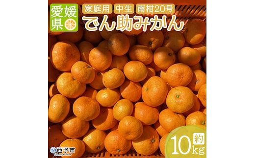 ＜でん助農園の温州みかん 南柑20号 約10kg（家庭用）＞ 果物 フルーツ ミカン オレンジ 柑橘類 うんしゅうみかん 南柑20号 中生 自宅用 国産 特産品 食べて応援 産地直送 西宇和産 愛媛県 西予市【常温】『2025年12月中旬～2026年1月下旬迄に順次出荷予定』
