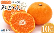 ＜おはこやがつくる 高品質みかん 約10kg（S～Lサイズ）＞ 果物 フルーツ 柑橘 ミカン 蜜柑 特産品 西宇和 愛媛県 西予市 【常温】