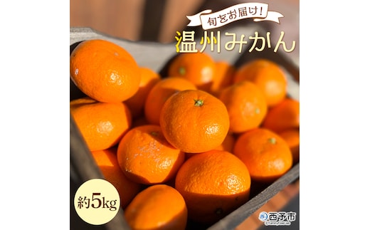 ＜旬をお届け！温州みかん 約5kg＞ 数量限定 ミカン 蜜柑 果物 柑橘類 果実 オレンジ フルーツ 早生 20号 手軽 特産品 国産 明浜産 二ノ宮商事株式会社 愛媛県 西予市【常温】