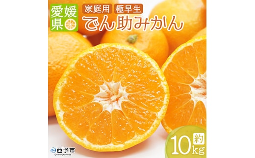 ＜でん助農園の温州みかん（極早生 家庭用）約10kg＞ 果物 フルーツ ミカン オレンジ 柑橘類 うんしゅうみかん 自宅用 西宇和産 直送 国産 特産品 産地直送 食べて応援 愛媛県 西予市 【常温】『2025年10月下旬～11月中旬迄に順次出荷予定』