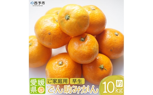＜でん助農園の温州みかん（早生 家庭用）約10kg＞ 果物 フルーツ ミカン オレンジ 柑橘類 うんしゅうみかん 自宅用 直送 国産 特産品 食べて応援 産地直送 西宇和産 愛媛県 西予市【常温】『2025年11月中旬～2026年1月上旬迄に順次出荷予定』
