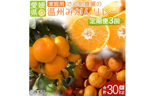 ＜定期便3回 でん助農園の温州みかんリレー 家庭用 合計約30kg＞ 果物 フルーツ ミカン オレンジ 柑橘類 極早生 早生 中生 南柑20号 自宅用 国産 特産品 食べて応援 産地直送 西宇和産 愛媛県 西予市 【常温】『2026年10月下旬～12月下旬に順次出荷予定』