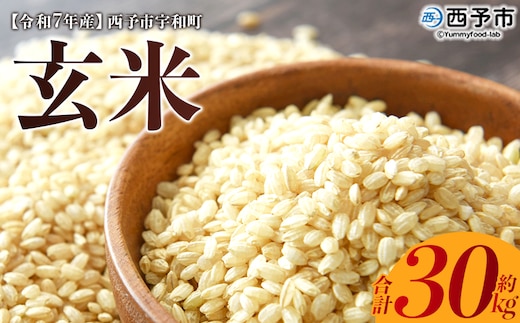 令和7年産 西予市宇和町産 玄米30kg
