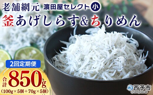 ＜老舗網元 濵田屋セレクト 釜あげしらす＆ちりめん (合計850g) 2回定期便＞ 『お申込み月の翌月より配送開始』釜揚げ シラス じゃこ 海鮮 海産物 丼 おにぎり 具材 ご飯 おつまみ おやつ 小魚 乾物 国産 マルヨシ水産 特産品 愛媛県 西予市【冷凍】