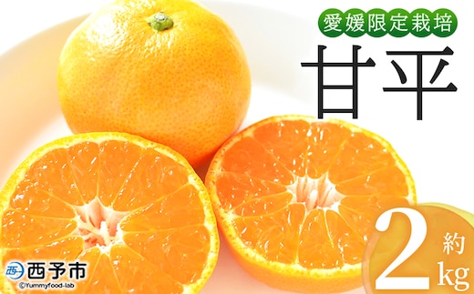 ＜おはこやがつくる 甘平 約2kg（L～3Lサイズ）＞ 果物 フルーツ 柑橘 カンペイ みかん ミカン 蜜柑 特産品 西宇和 愛媛県 西予市 【常温】