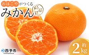 ＜おはこやがつくる 高品質みかん 約2kg（S～Lサイズ）＞ 果物 フルーツ 柑橘 ミカン 蜜柑 特産品 西宇和 愛媛県 西予市 【常温】
