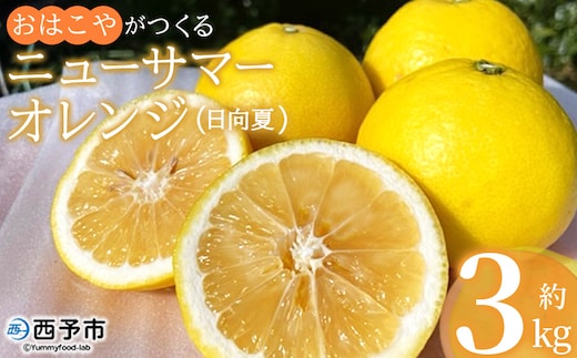 ＜おはこやがつくる ニューサマーオレンジ 約3kg（L～3Lサイズ）＞ 果物 フルーツ 柑橘 ミカン 蜜柑 日向夏 小夏 特産品 西宇和 愛媛県 西予市 【常温】