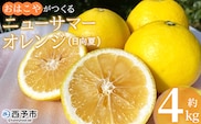 ＜おはこやがつくる ニューサマーオレンジ 約4kg（L～3Lサイズ）＞ 果物 フルーツ 柑橘 ミカン 蜜柑 日向夏 小夏 特産品 西宇和 愛媛県 西予市 【常温】