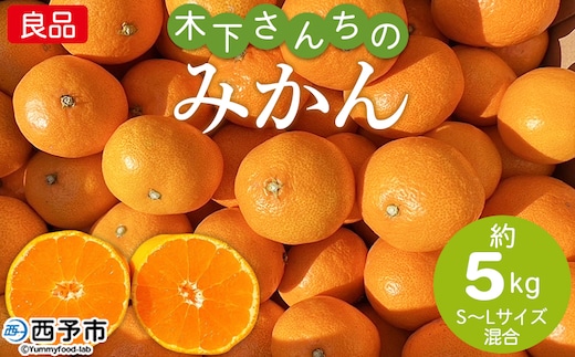＜木下さんちのみかん 良品 約5kg（S～Lサイズ混合）＞柑橘類 温州みかん ミカン 果物 くだもの フルーツ 特産品 木下農園 西宇和 愛媛県 西予市【常温】『2026年11月中旬〜12月下旬に順次出荷予定』