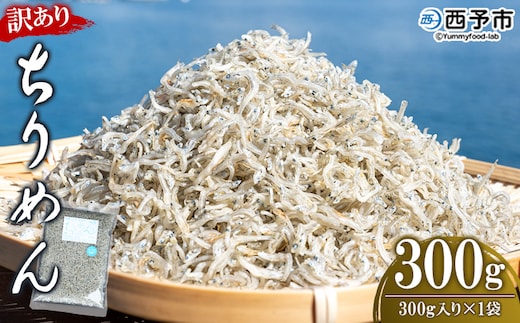 ＜【天日干し】 わけあり お徳用ちりめん 300g＞ しらす じゃこ さかな 海産 海鮮 おつまみ おやつ 魚 西予市 明浜