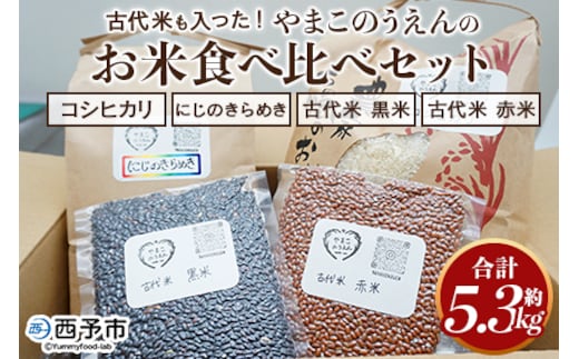 ＜古代米も入った！やまこのうえんのお米 4種類食べ比べセット 合計5.3kg＞ お米 コメ ご飯 ライス 穀物 こしひかり コシヒカリ にじのきらめき 古代米 黒米 赤米 食べ比べ 特産品 愛媛県 西予市【常温】