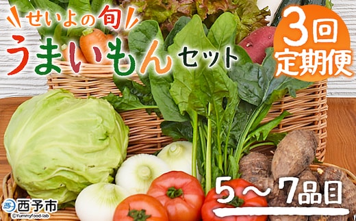 ＜せいよのうまいもんセット 3回定期便＞ 西予市産 愛媛県産 国産 旬 季節の野菜 やさい おまかせ 詰め合わせ 5～7品目 お楽しみ 特産品 百姓百品株式会社 愛媛県 西予市 【冷蔵】『1か月以内に第1回目を順次出荷予定』