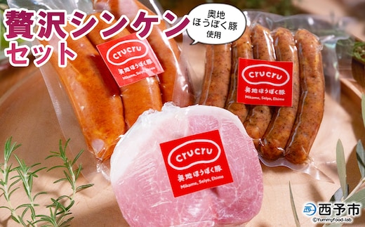 ＜奥地ほうぼく豚を使った贅沢シンケンセット＞豚肉 ぶた お肉 加工品 おつまみ おかず ハム スライス ペッパーウインナー フランクフルト 詰合せ BBQ アウトドア キャンプ サラダ 愛媛県 西予市 【冷蔵】『4か月以内に順次出荷予定』