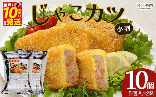 おがた蒲鉾 じゃこカツ小判（未加熱）5個入り×2袋