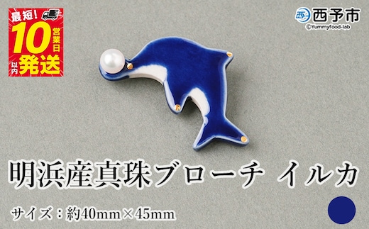 保証書付＜明浜産 真珠ブローチ イルカ（青）＞ 8.0～8.5mm 純国産 高品質 アコヤ真珠 宇和海 パール アクセサリー 陶器 ファッション レディース 小物 女性 誕生日 記念日 佐藤真珠 cosmic 愛媛県 西予市【常温】