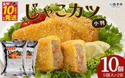 おがた蒲鉾　じゃこカツ小判（未加熱）5個入り×2袋