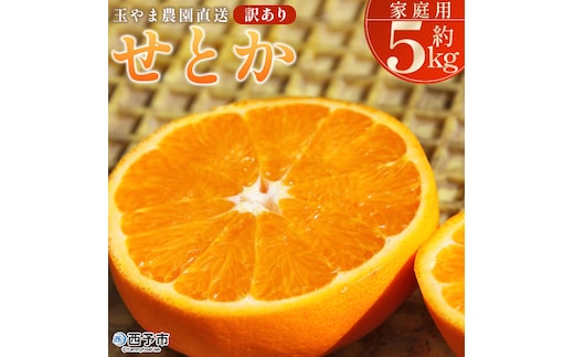 ＜【訳あり】 玉やま農園直送 せとか 家庭用 約5kg ＞ 数量限定 期間限定 5キロ みかん ミカン 蜜柑 柑橘類 フルーツ 果物 果実 くだもの 特産品 甘い ジューシー 旬 ご自宅用 訳アリ 愛媛県 西予市 【常温】『2026年3月上旬～3月下旬迄に順次出荷予定』