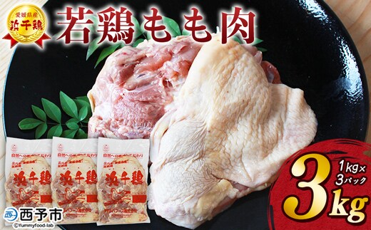 ＜銘柄鶏 浜千鶏 愛媛県産 若鶏もも肉 3kg（1kg×3）＞ 国産 鶏肉 鳥肉 とり チキン モモ肉 はまちどり ブロック 精肉 にく 料理 アレンジ 夕飯 夕食 お弁当 昼食 唐揚げ から揚げ 焼き鳥 マルハフーズ株式会社 愛媛県 西予市【冷凍】『1か月以内に順次出荷予定』
