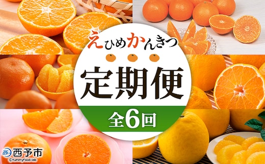 【先行予約】＜2026年11月発送開始 えひめかんきつ定期便 全6回＞ 果物 フルーツ みかん ミカン 蜜柑 日の丸みかん 紅まどんな 伊予柑 いよかん デコポン せとか 河内晩柑 かわちばんかん 愛媛県観光物産協会 愛媛県 西予市【常温】 