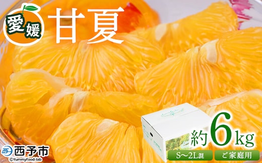 ＜愛媛県西予市産 甘夏 ご家庭用 約6kg＞ 訳あり S～2Lサイズ混合 果物 くだもの フルーツ みかん ミカン 蜜柑 あまなつ オレンジ 柑橘 不揃い 食べて応援 特産品 宇都宮物産 愛媛県 西予市【常温】『2026年3月中旬～5月中旬迄に順次出荷予定』