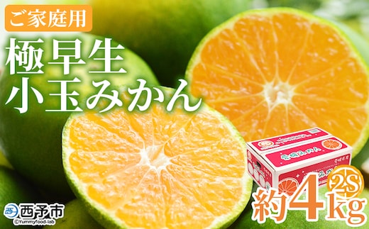 【先行予約】＜極早生小玉みかん ご家庭用 約4kg＞ ご家庭用 果物 フルーツ みかん ミカン 蜜柑 オレンジ 柑橘 食べて応援 特産品 宇都宮物産 愛媛県 西予市【常温】『2026年9月下旬～10月中旬迄に順次出荷予定』