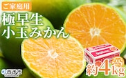 【先行予約】＜極早生小玉みかん ご家庭用 約4kg＞ ご家庭用 果物 フルーツ みかん ミカン 蜜柑 オレンジ 柑橘 食べて応援 特産品 宇都宮物産 愛媛県 西予市【常温】『2026年9月下旬～10月中旬迄に順次出荷予定』