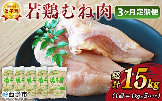 ＜愛媛県産 銘柄鶏 浜千鶏（はまちどり）若鶏むね肉 5kg（1kg×5）3ヶ月定期便＞ 国産 鶏肉 大容量 業務用 家庭用 鳥肉 とり チキン ムネ 精肉 塊 ブロック 定期便 産地直送 愛媛県 西予市【冷凍】