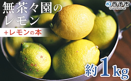 【先行予約】＜無茶々園のレモン 約1kg＋レモンの本＞ フルーツ 果物 くだもの れもん 檸檬 柑橘 香酸柑橘 国産 無茶々園 特産品 愛媛県 西予市【常温】