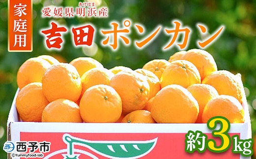 ＜吉田ポンカン 家庭用 約3kg＞ 果物 くだもの フルーツ みかん ミカン 柑橘 吉田ぽんかん よしだぽんかん ヨシダポンカン ぽんかん 訳あり ご自宅用 特産品 株式会社笑丸 愛媛県 西予市【常温】
