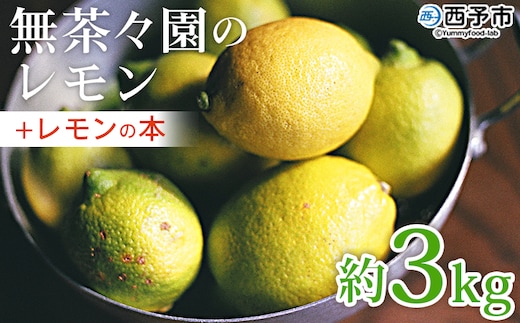 【先行予約】＜無茶々園のレモン 約3kg＋レモンの本＞ フルーツ 果物 くだもの れもん 檸檬 柑橘 香酸柑橘 国産 無茶々園 特産品 愛媛県 西予市【常温】