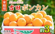 ＜吉田ポンカン 家庭用 約3kg＞ 果物 くだもの フルーツ みかん ミカン 柑橘 吉田ぽんかん よしだぽんかん ヨシダポンカン ぽんかん 訳あり ご自宅用 特産品 株式会社笑丸 愛媛県 西予市【常温】