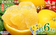 【感謝企画】＜木成り ジューシーゴールド（河内晩柑）ご家庭用 約6kg（S～2L混合）＞『2026年6月中旬～8月中旬迄に順次出荷予定』訳あり 果物 フルーツ かわちばんかん みかん オレンジ 柑橘 食べて応援 特産品 宇都宮物産 愛媛県 西予市 【常温】