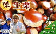＜栗の王様 銀寄栗（生栗）2L（約2kg）＞ 銀寄 ぎんよせ 甘い 生栗 和栗 マロン 栗 くり 栗ごはん 栗きんとん 甘露煮 旬 国産 産地直送 城川ファクトリー 愛媛県 西予市【冷蔵】『2026年9月中旬～10月上旬に順次発送予定』