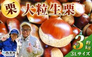 ＜栗の王様 銀寄栗（生栗）3L（約3kg）＞ 銀寄 ぎんよせ 甘い 生栗 和栗 マロン 栗 くり 栗ごはん 栗きんとん 甘露煮 旬 国産 産地直送 城川ファクトリー 愛媛県 西予市【冷蔵】『2026年9月中旬～10月上旬に順次発送予定』
