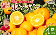 ＜訳あり ポンカン 約4kg＞ 小玉 中玉 小さい 食べやすい ぽんかん 家庭用 果物 フルーツ おいしい 甘い 柑橘類 明浜産 あけはま ご自宅用 浜のみかん屋 愛媛県 西予市【常温】『2026年1月下旬～2月中旬迄に順次出荷』