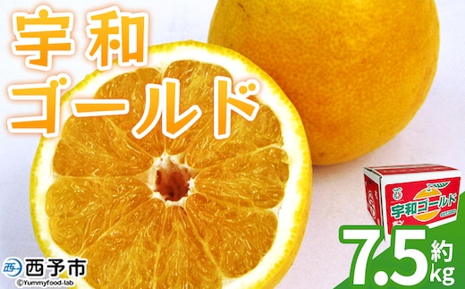 ＜宇和ゴールド 約7.5kg＞ 果物 フルーツ みかん ミカン 蜜柑 オレンジ 柑橘 河内晩柑 かわちばんかん うわごーるど ウワゴールド 愛南ゴールド 美生柑 食べて応援 特産品 JA えひめ南農業協同組合 愛媛県 西予市【常温】