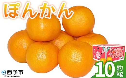 ＜ぽんかん 約10kg＞ 果物 フルーツ みかん ミカン 蜜柑 オレンジ 柑橘 椪柑 ポンカン 食べて応援 特産品 JA えひめ南農業協同組合 愛媛県 西予市【常温】