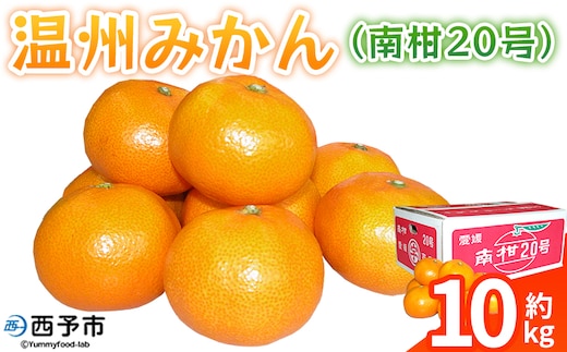 ＜温州みかん（南柑20号）約10kg＞ 果物 フルーツ みかん ミカン 蜜柑 オレンジ 柑橘 うんしゅうみかん ウンシュウミカン なんかん20ごう 食べて応援 特産品 JA えひめ南農業協同組合 愛媛県 西予市【常温】
