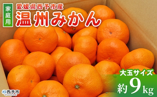 ＜愛媛県西予市産 温州みかん 大玉サイズ 家庭用 約9kg＞ 愛媛県産 西宇和 大玉 大きめ 家庭用 果物 フルーツ 柑橘 うんしゅうみかん ウンシュウミカン オレンジ ミカン 蜜柑 訳あり 小林果園 愛媛県 西予市【常温】