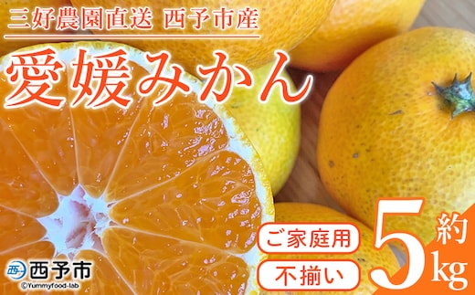 ＜愛媛みかん 家庭用（不揃い）箱込約5kg＞ 果物 フルーツ 温州みかん うんしゅうみかん ウンシュウミカン みかん ミカン 蜜柑 オレンジ 柑橘 自宅用 訳あり 産地直送 三好農園 西宇和 愛媛県 西予市【常温】『2025年11月中旬～2026年1月中旬迄に順次出荷予定』