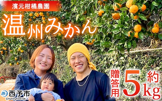 ＜明浜産 温州みかん 約5kg 贈答用＞ 愛媛みかん 農家直送 果物 フルーツ 柑橘 ミカン 蜜柑 S～Lサイズ 贈答 国産 濱元柑橘農園 愛媛県 西予市【常温】『2025年11月下旬から12月中旬までに順次出荷予定』