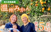 ＜明浜産 温州みかん 約5kg 訳あり＞ 愛媛みかん 農家直送 家庭用 自宅用 ワケアリ 果物 フルーツ 柑橘 ミカン 蜜柑 S～L 濱元柑橘農園 西予市【常温】『2025年11月下旬から12月中旬までに順次出荷予定』