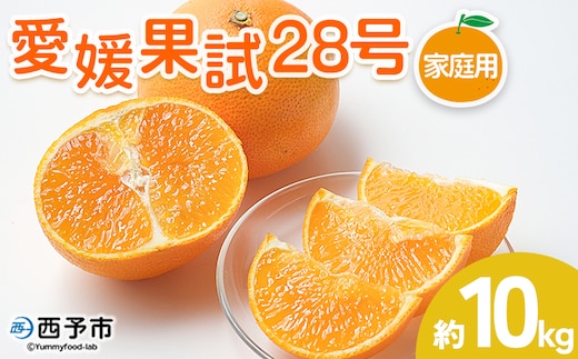 紅まどんなと同品種！＜愛媛果試28号 家庭用 約10kg＞ 訳あり わけあり 自宅用 果物 フルーツ みかん ミカン 蜜柑 オレンジ えひめかし 選べる 食べて応援 特産品 柑橘園柴田 愛媛県 西予市【常温】『2025年12月上旬～12月下旬迄に順次出荷予定』