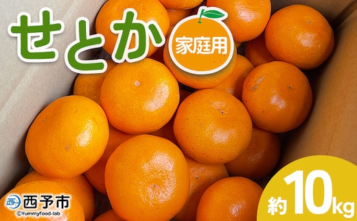 【先行予約】＜せとか 家庭用 約10kg＞ 訳あり わけあり 自宅用 果物 フルーツ みかん ミカン 蜜柑 オレンジ 柑橘 セトカ ジューシー サイズ不揃い 食べて応援 特産品 柑橘園柴田 愛媛県 西予市【常温】『2027年2月下旬～3月中旬迄に順次出荷予定』