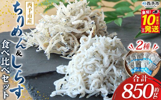 ＜ちりめん＆しらす干し 食べ比べセット＞ 西予市産 ちりめん しらす干し 食べ比べ 健康 カルシウム 詰め合わせ チリメン シラス 魚介 海産物 海鮮 家庭用 贈答用 小分け 国産 特産品 産地直送 濱田水産 愛媛県 西予市【冷凍】