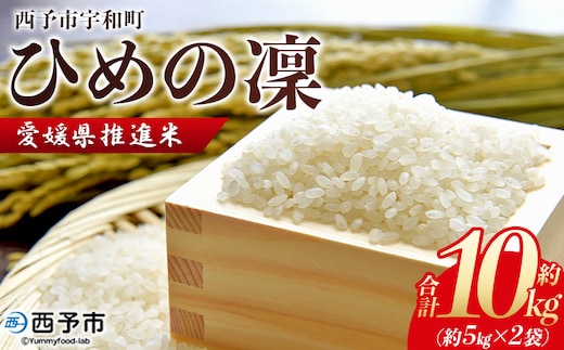 ＜愛媛県推進米 ひめの凜 約10kg＞ 10kg お米 コメ こめ 白米 精米 ご飯 ライス 穀物 ひめのりん ヒメノリン ヒメノ凜 ブランド米 大粒 ツヤツヤ 特産品 愛媛県産 西予市産 宇和町産 三好フク 愛媛県 西予市 【常温】